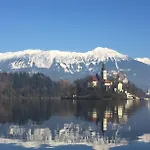 Forest Breeze Apartman *