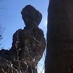 Forest Breeze Apartman *