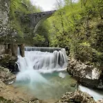 Apartman Forest Breeze *