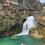 Forest Breeze Blejska Dobrava