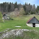 Apartman Forest Breeze