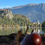 Forest Breeze Blejska Dobrava