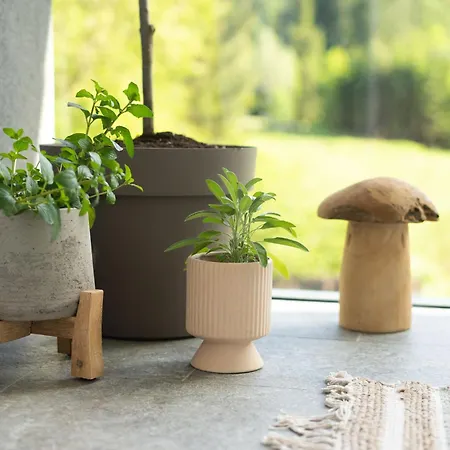 Forest Breeze Appartement Blejska Dobrava