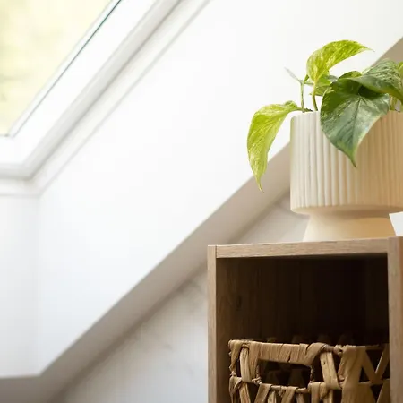 Apartmán Forest Breeze *