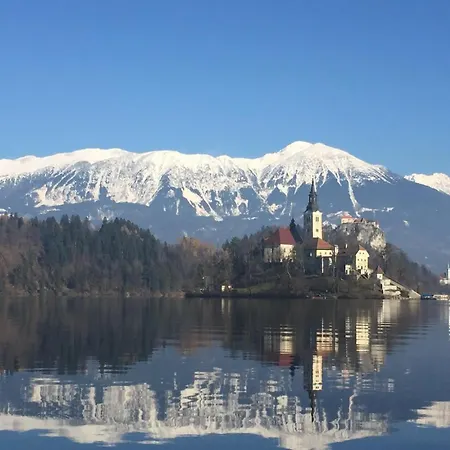 Forest Breeze Appartement *