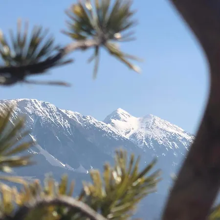 Forest Breeze * Blejska Dobrava