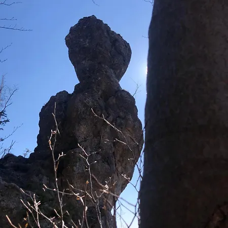 Forest Breeze 아파트 *