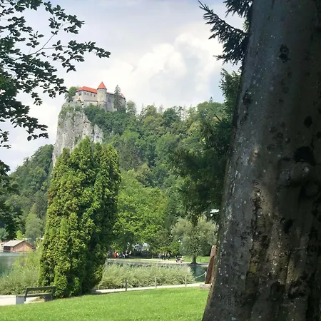 Forest Breeze 公寓 Blejska Dobrava