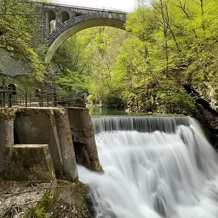 Apartmán Forest Breeze Blejska Dobrava