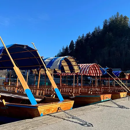 Forest Breeze 公寓 Blejska Dobrava