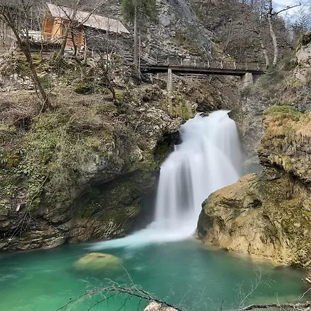 Forest Breeze Blejska Dobrava