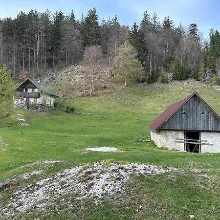 Apartmán Forest Breeze