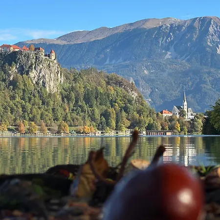 Forest Breeze Blejska Dobrava