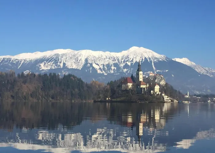 Forest Breeze Appartement *