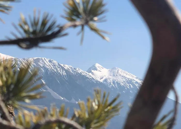 Forest Breeze * Blejska Dobrava