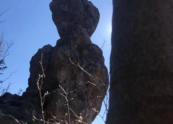 Forest Breeze 公寓 *