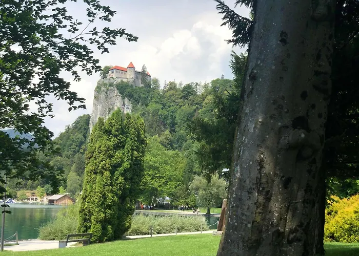 Forest Breeze Appartement Blejska Dobrava