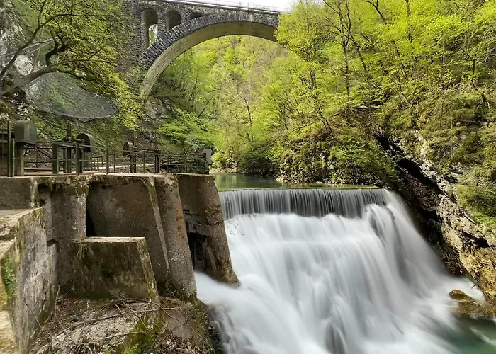 公寓 Forest Breeze Blejska Dobrava