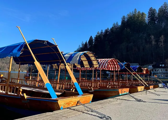 Forest Breeze 公寓 Blejska Dobrava