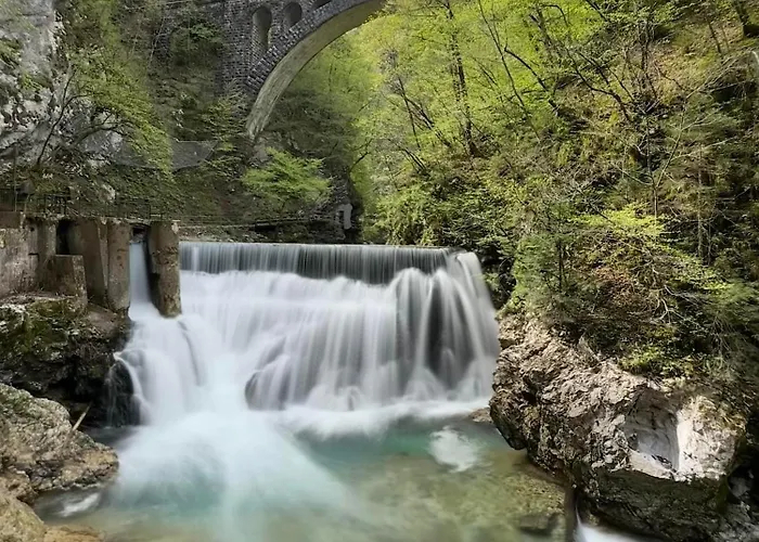 公寓 Forest Breeze *