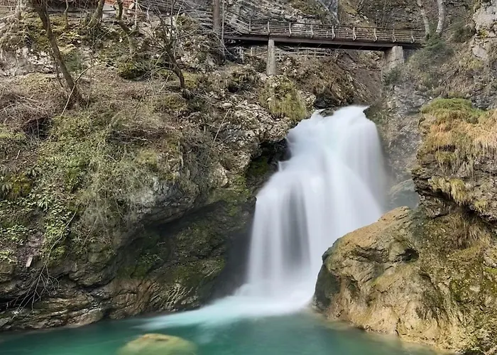 Forest Breeze Blejska Dobrava