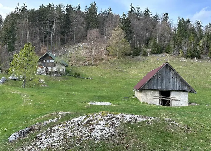 Appartement Forest Breeze