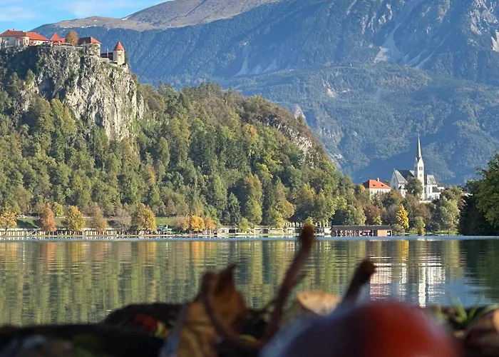 Forest Breeze Blejska Dobrava